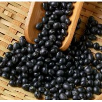 老申坊 黑豆500g新货散装农家豆类豆子发豆芽大黑豆浆批发