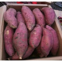蜜薯中大果农家自种粉粘香甜红薯 烟薯25 新鲜地瓜