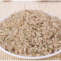 彝山香批发 绿糙米 绿硬米 杂粮 粗粮 健身脂减饭